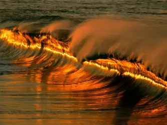 Golden Wave At Sunset, Puerto Escondido, Mexico 
