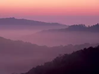 Violet Sunrise, Daniel Boone National Forest