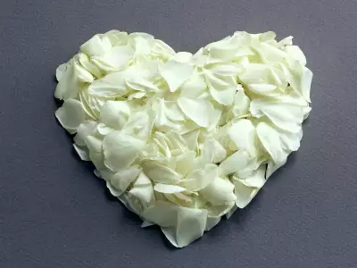 White heart for valentine day