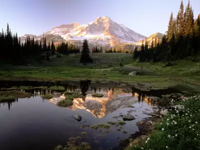 Mount Rainier National Park, Washington 1600x1