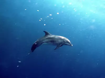 Underwater