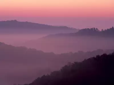 Violet Sunrise, Daniel Boone National Forest