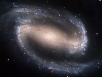 Spiral Galaxy NGC 1300