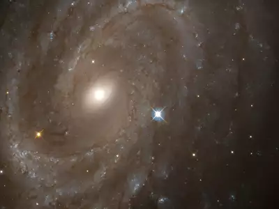 Variable Stars In Distant Spiral Galaxy