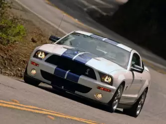Shelby Cobra GT500 Mustang 067