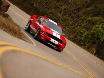 Shelby Cobra GT500 Mustang 075