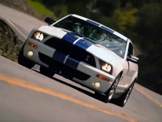 Shelby Cobra GT500 Mustang 080