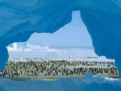 Atka Bay Weddell Sea Antarctica