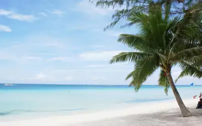Tropical Beach