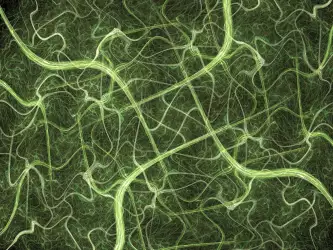Fractal