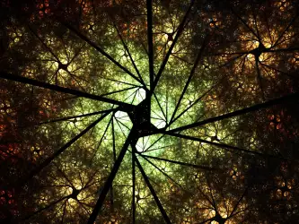 Fractal