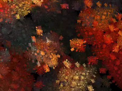 Fractal