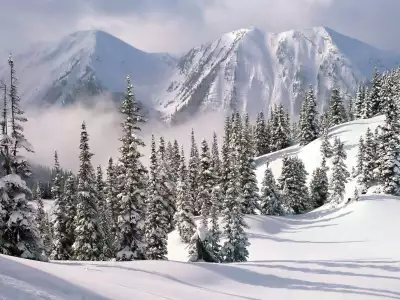 Winter Scene With Snow