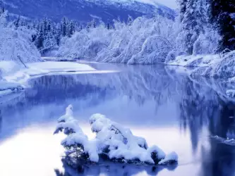 Winter Nature Landscape