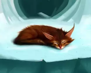 Sleeping Cat
