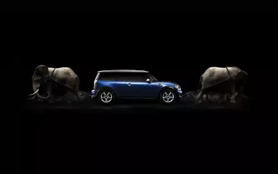 Elephat And Mini