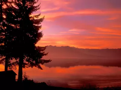 Living Waters Hood Canal Washington