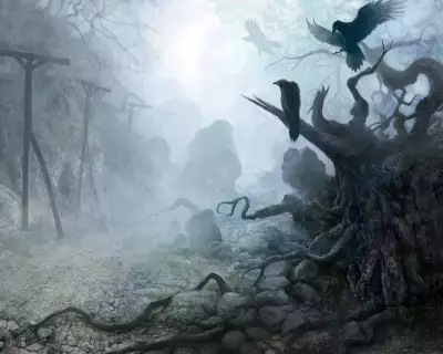 Scary Forrest