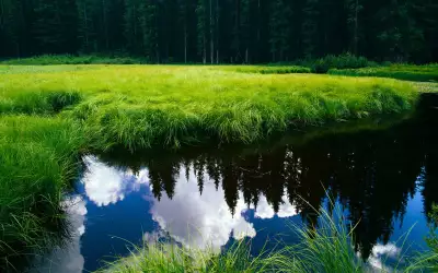 Meadow And Lake