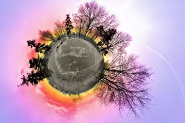 World Around The Ball