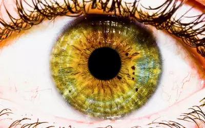 Eye Closeup