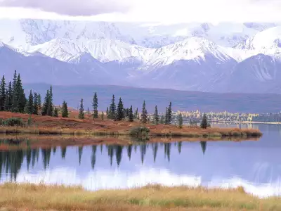 Mount Tundra And Wonder Lake in Denali National Park