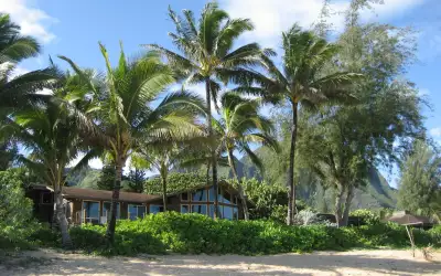 Palms on Sand Beach
