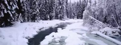 River in Forest on Winter Day