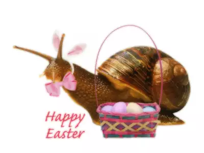 Easter Snail With Basket