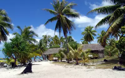 Tropical Beach