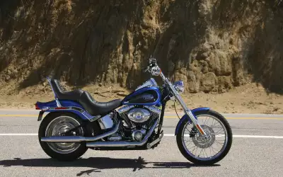 Harley Davidson
