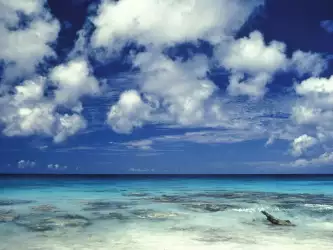 Caribbean Sea Bonaire