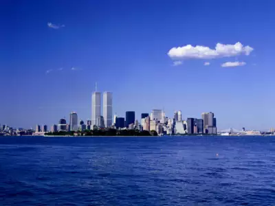 Wtc11