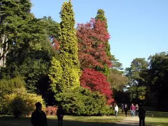 Autumn