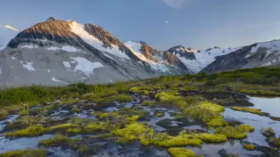 Mountain