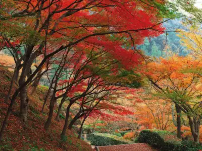 Autumn