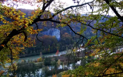 Autumn