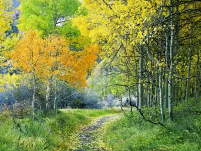 Autumn