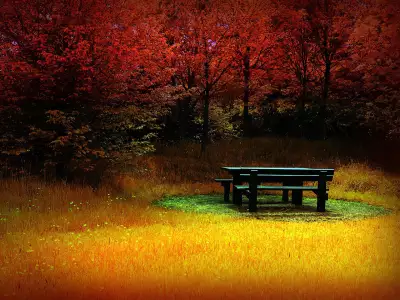 Autumn