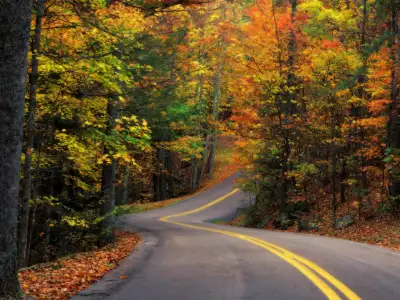 Autumn Colors Road