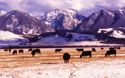 Paradise Valley in Montana