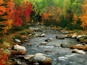 Autumn Colors White Mountains New Hampshire