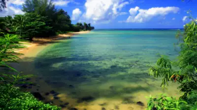 Beach