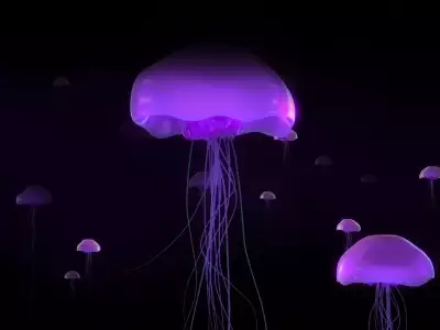 Underwater Life