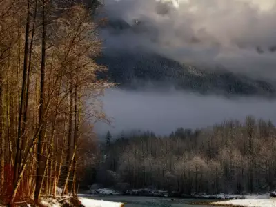 Winter Scene