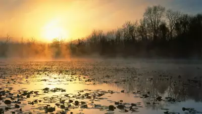 Water Scenes