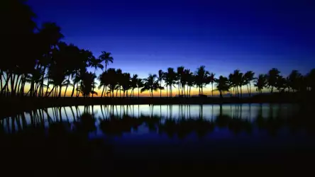 Water Scenes