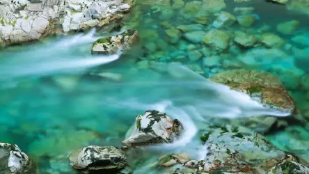 Water Scenes