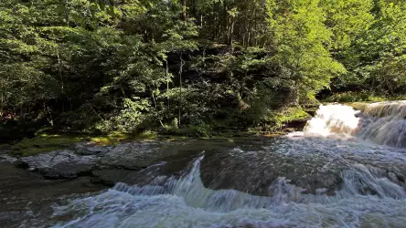 Water Scenes