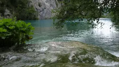 Water Scenes
